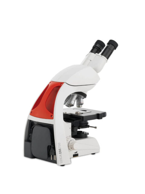 https://cabinet-mts.fr/wp-content/uploads/2026/03/technologies_microscope-480x640.jpeg